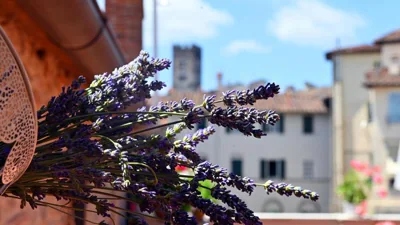 L'Iris B&B in Terrazza – Photos 8